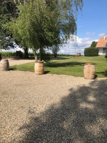 Gite Les Pins Perdus Saint-Ciers-d'Abzac Luaran gambar