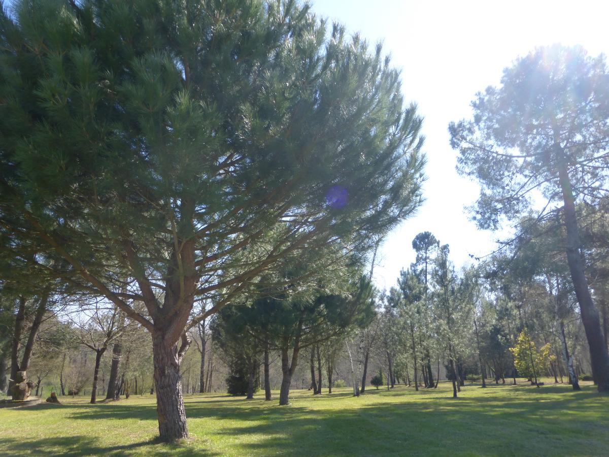 Gite Les Pins Perdus Saint-Ciers-d'Abzac Luaran gambar